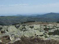 F, Lozere, Pont-de-Montvert-Sud-Mont-Lozere, Sommet de Finiels 33, Saxifraga-Willem van Kruijsbergen