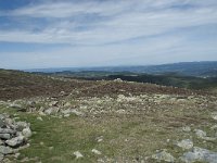 F, Lozere, Pont-de-Montvert-Sud-Mont-Lozere, Sommet de Finiels 35, Saxifraga-Willem van Kruijsbergen