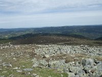 F, Lozere, Pont-de-Montvert-Sud-Mont-Lozere, Sommet de Finiels 36, Saxifraga-Willem van Kruijsbergen