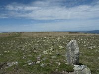 F, Lozere, Pont-de-Montvert-Sud-Mont-Lozere, Sommet de Finiels 46, Saxifraga-Willem van Kruijsbergen