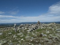 F, Lozere, Pont-de-Montvert-Sud-Mont-Lozere, Sommet de Finiels 74, Saxifraga-Willem van Kruijsbergen