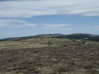 F, Lozere, Pont-de-Montvert-Sud-Mont-Lozere, Sommet de Finiels 77, Saxifraga-Willem van Kruijsbergen