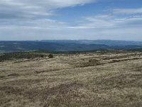 F, Lozere, Pont-de-Montvert-Sud-Mont-Lozere, Sommet de Finiels 86, Saxifraga-Willem van Kruijsbergen