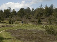 F, Lozere, Saint-Etienne-du-Valdonnez 16, Saxifraga-Marijke Verhagen