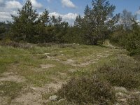 F, Lozere, Saint-Etienne-du-Valdonnez 4, Saxifraga-Marijke Verhagen