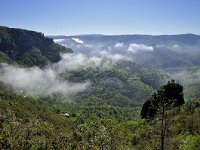 F, Lozere, Vebron 2, Saxifraga-Elisabeth Raboin