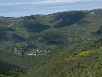 F, Lozere, Vebron 4, Saxifraga-Willem van Kruijsbergen