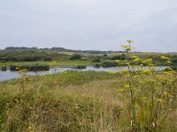 F, Morbihan, Guidel, Le Petit Loch 1, Saxifraga-Theo Verstrael