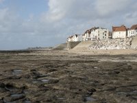 F, Pas-de-Calais, Ambleteuse 8, Saxifraga-Willem van Kruijsbergen