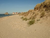 F, Pas-de-Calais, Ambleteuse, Dunes de la Slack 1, Saxifraga-Jan van der Straaten