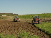 F, Pas-de-Calais, Audresselles 13, Saxifraga-Jan van der Straaten