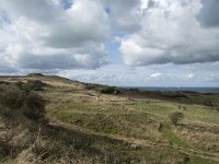 F, Pas-de-Calais, Sangatte, Cap Blanc Nez 16, Saxifraga-Willem van Kruijsbergen