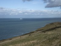 F, Pas-de-Calais, Sangatte, Cap Blanc Nez 3, Saxifraga-Willem van Kruijsbergen