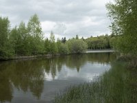 F, Yonne, Quarre-les Tombes, Etang du Grottier Blanc 10, Saxifraga-Willem van Kruijsbergen