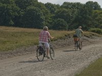 D, Niedersachsen, Schneverdingen, Wolfsberg 16, Saxifraga-Jan van der Straaten