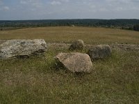 D, Niedersachsen, Schneverdingen, Wolfsberg 3, Saxifraga-Jan van der Straaten