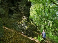 D, Rheinland-Pfalz, Bettenfeld, Mosenberg 4, Saxifraga-Tom Heijnen