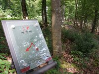 D, Rheinland-Pfalz, Cochem, Apolloweg 2, Saxifraga-Foto Fitis-Sytske Dijksen