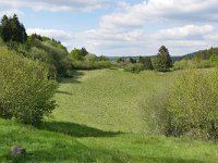 D, Rheinland-Pfalz, Gerolstein, Gerolsteiner Dolomiten 9, Saxifraga-Tom Heijnen