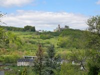 D, Rheinland-Pfalz, Gerolstein, Kasselburg 1, Saxifraga-Tom Heijnen