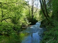 D, Rheinland-Pfalz, Manderscheid, Lieserpfad 6, Saxifraga-Tom Heijnen