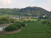 D, Rheinland-Pfalz, Manderscheid, Meerfeld 2, Saxifraga-Tom Heijnen