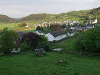 D, Rheinland-Pfalz, Manderscheid, Meerfeld 3, Saxifraga-Tom Heijnen