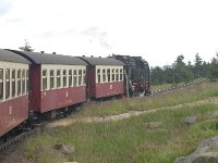 D, Sachsen-Anhalt, Wernigerode, Brocken 9, Saxifraga-Luuk Vermeer