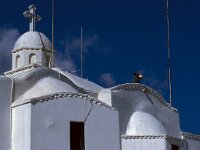 GR, Attica, Athina, Agios Giorgios 2, Saxifraga-Jan van der Straaten