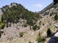 GR, Chania, Kantanos-Selino-Agia Eirini Gorge 3, Saxifraga-Tom Heijnen