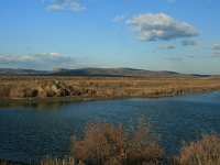 GR, Evros, Alexandroupolis, Evros Delta 3, Saxifraga-Dirk Hilbers