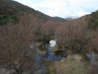 GR, Evros, Soufli, Dadia forest 10, Saxifraga-Dirk Hilbers