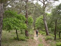 GR, Evros, Soufli, Dadia forest 79, Saxifraga-Dirk Hilbers