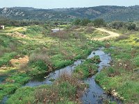 GR, Lesbos, Mytilini, Kerameia 5, Saxifraga-Jan van der Straaten