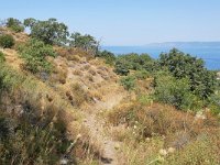 GR, Lesbos, Mytilini, Lafionas to Petra 4, Saxifraga-Tom Heijnen