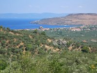 GR, Lesbos, Mytilini, Petra to Lafionas 2, Saxifraga-Tom Heijnen