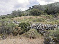 GR, Lesbos, Mytilini, near Limonos Monastery 1, Saxifraga-Tom Heijnen