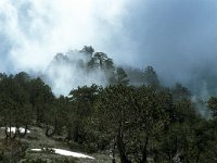 GR, Pieria, Dion-Olympos, Mont Olympos 26, Saxifraga-Jan Van der Straaten