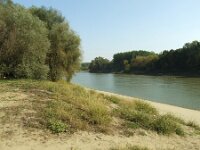 H, Bacs-Kiskun, Ulopszállás, Kiskunsag NP 11, Saxifraga-Ferenc Sipos