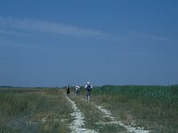 H, Bacs-Kiskun, Ulopszállás, NP Kiskunsagi 17, Saxifraga-Jan van der Straaten