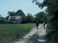 H, Bacs-Kiskun, Ulopszállás, NP Kiskunsagi 22, Saxifraga-Jan van der Straaten