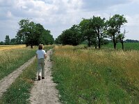 H, Gyor–Moson–Sopron, Cikes, NP Ferto-Hansag 6, Saxifraga-Jan van der Straaten