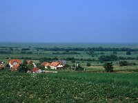 Fertuerakos