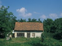 H, Szabolcs–Szatmár–Bereg, Csaroda 4, Saxifraga-Jan van der Straaten