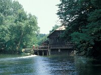 H, Szabolcs–Szatmár–Bereg, Turistvandi 7, Saxifraga-Jan van der Straaten