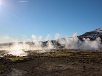 IS, Sudurland, Blaskogabyggd, Geysir 11, Saxifraga-Bart Vastenhouw