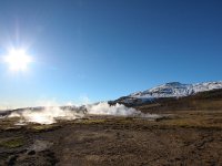 IS, Sudurland, Blaskogabyggd, Geysir 12, Saxifraga-Bart Vastenhouw