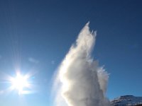 IS, Sudurland, Blaskogabyggd, Geysir 6, Saxifraga-Bart Vastenhouw