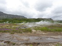 IS, Sudurland, Blaskogabyggd, Geysir 9, Saxifraga-Peter Stein