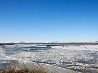 IS, Sudurland, Blaskogabyggd, Tingvallavatn 6, Saxifraga-Bart Vastenhouw